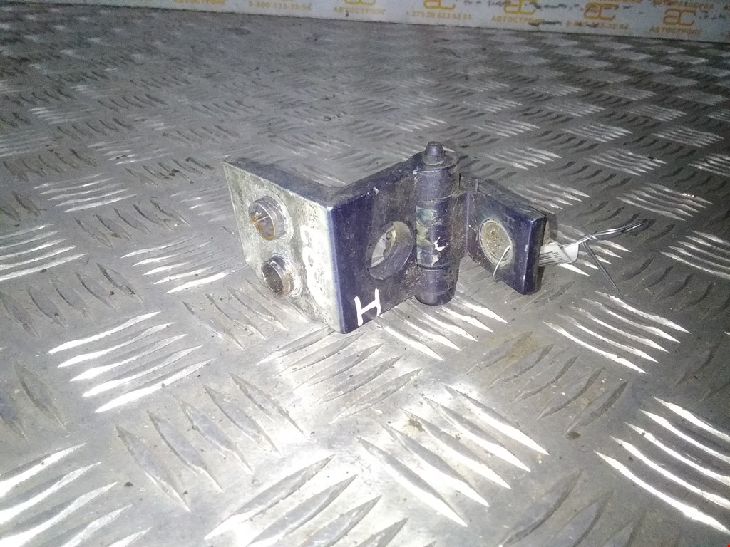 

Петля двери передней левой Peugeot 206, 206