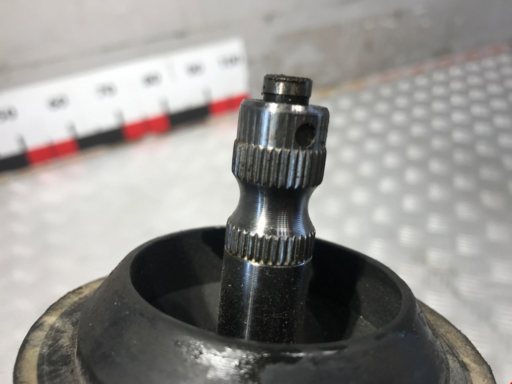 thumb