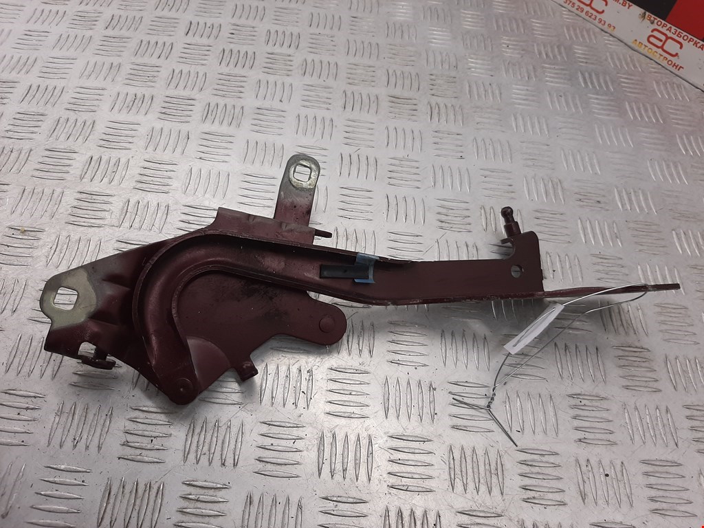 

Петля капота правая Renault Scenic 3, Scenic 3