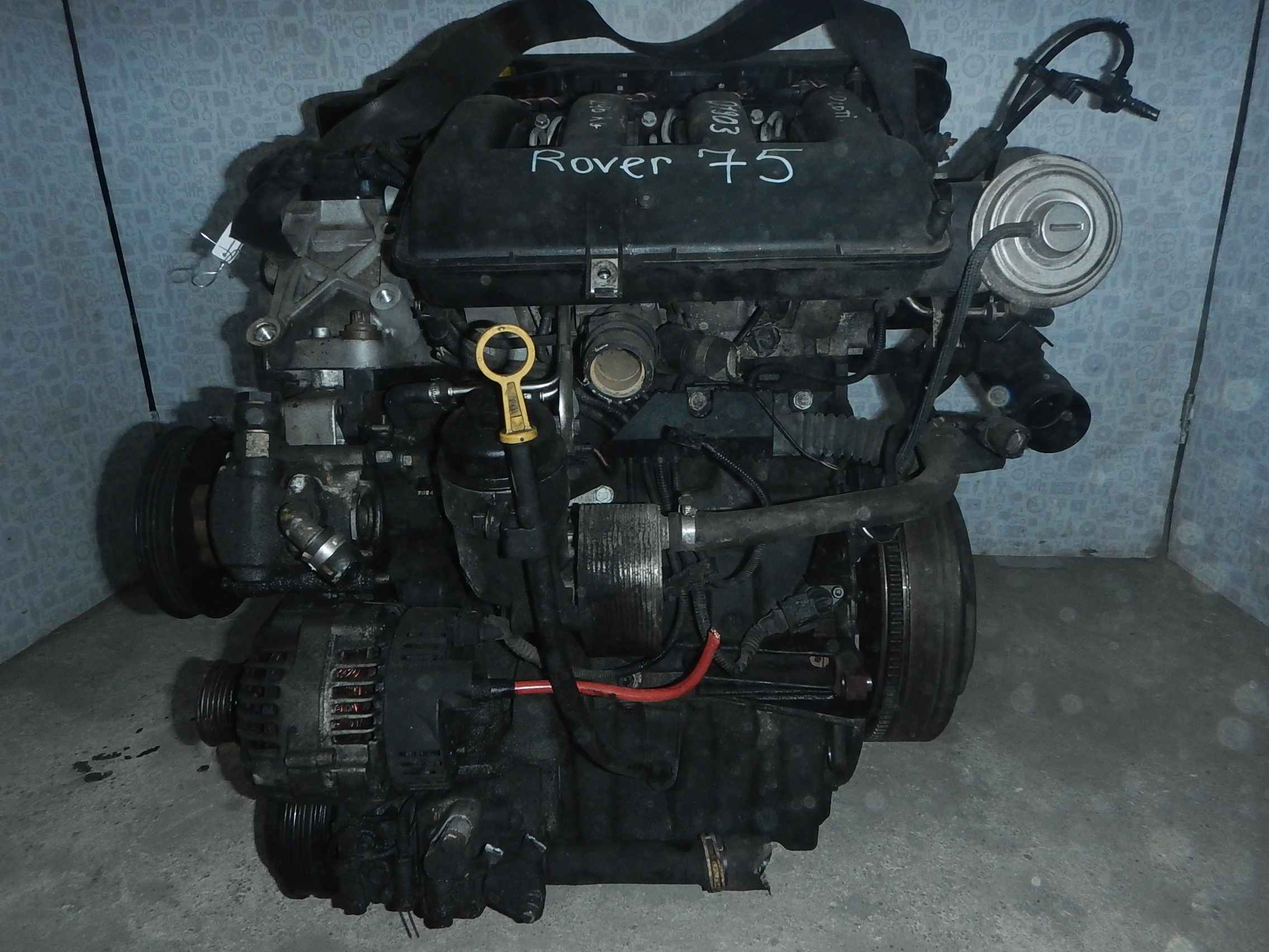 Двигатель (ДВС) для Rover