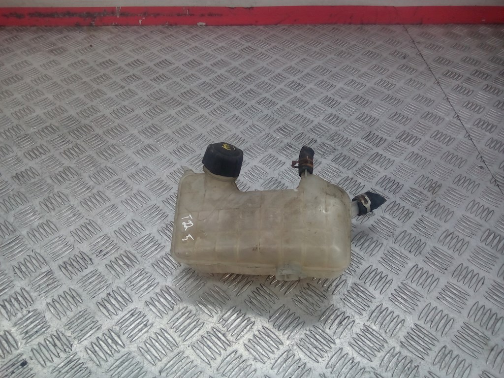 

Бачок расширительный Renault Scenic 2, Scenic 2