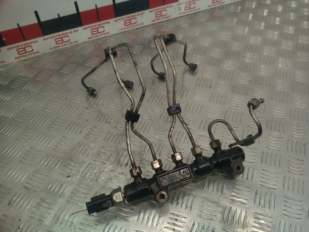 

Рампа топливная Citroen Jumpy (Dispatch) 2 (X), Jumpy (Dispatch) 2 (X)