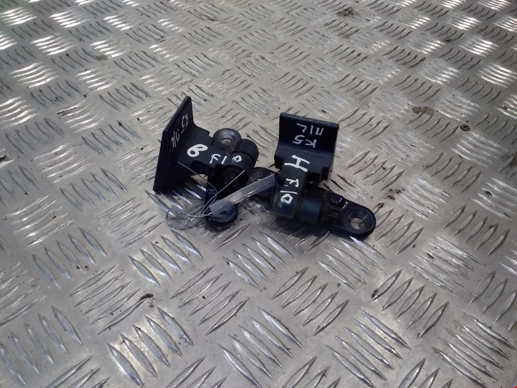 

Петля двери передней левой BMW 5 Series (F10/F11), 5 Series (F10/F11)