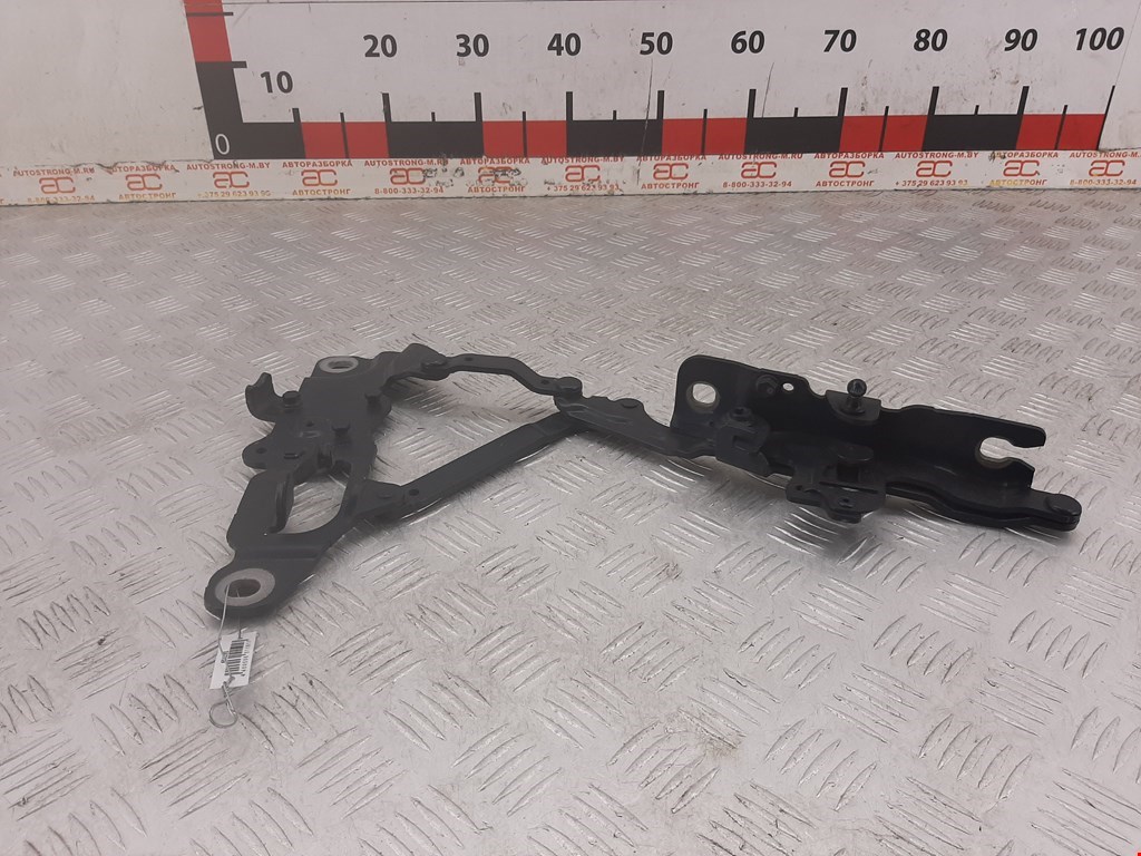 

Петля капота левая BMW 5 Series (F10/F11), 5 Series (F10/F11)