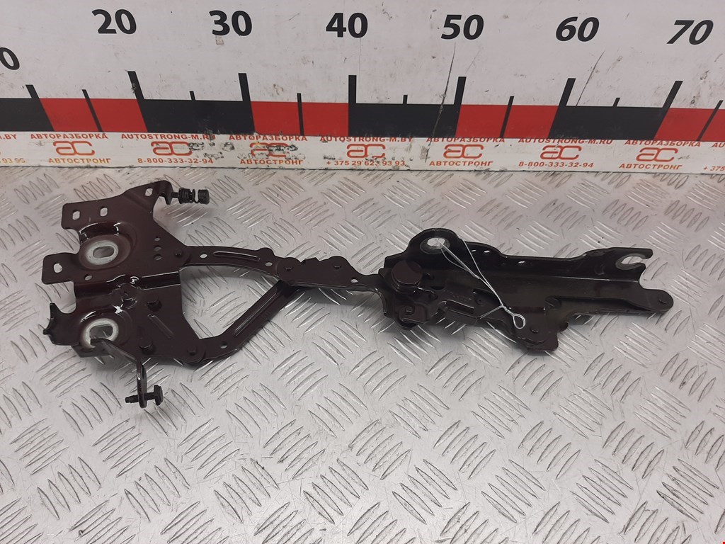 

Петля капота левая Mini Cooper (F54/F55/F56/F57), Cooper (F54/F55/F56/F57)