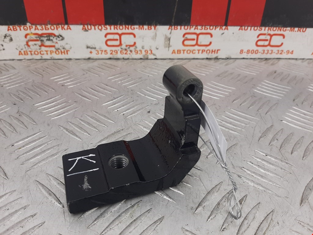 

Петля двери задней левой BMW 7 Series (F01/F02/F04), 7 Series (F01/F02/F04)