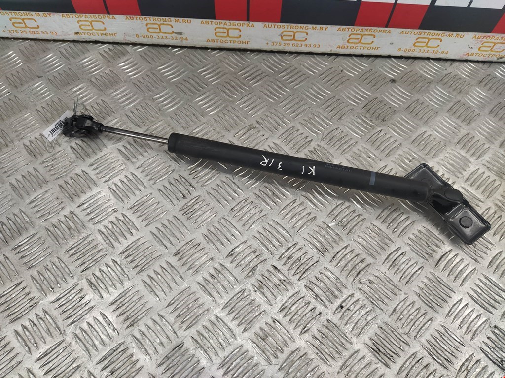 

Ограничитель открывания двери BMW 7 Series (F01/F02/F04), 7 Series (F01/F02/F04)
