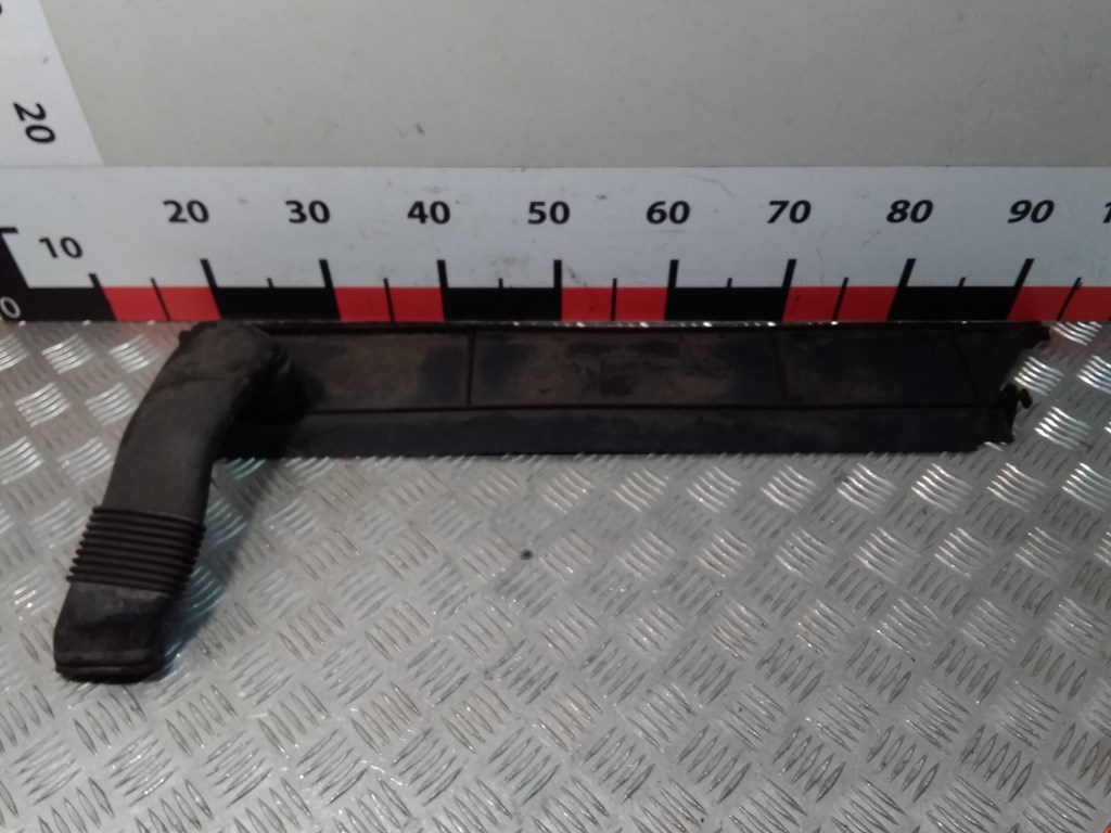 

Воздухозаборник (наружный) Renault Scenic 3, Scenic 3