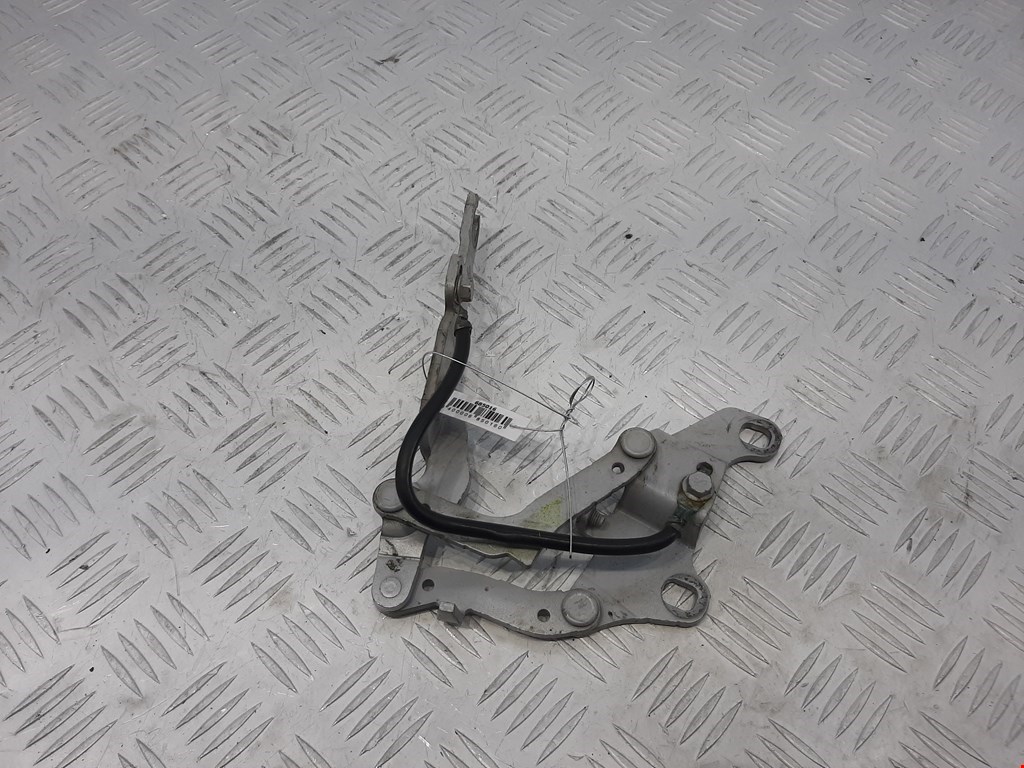 

Петля капота левая BMW 3 Series (E90), 3 Series (E90)