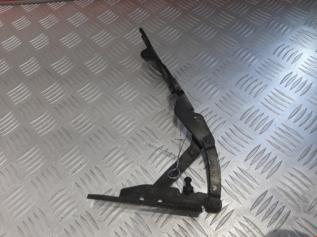 

Петля капота левая BMW X5 (E53), X5 (E53)