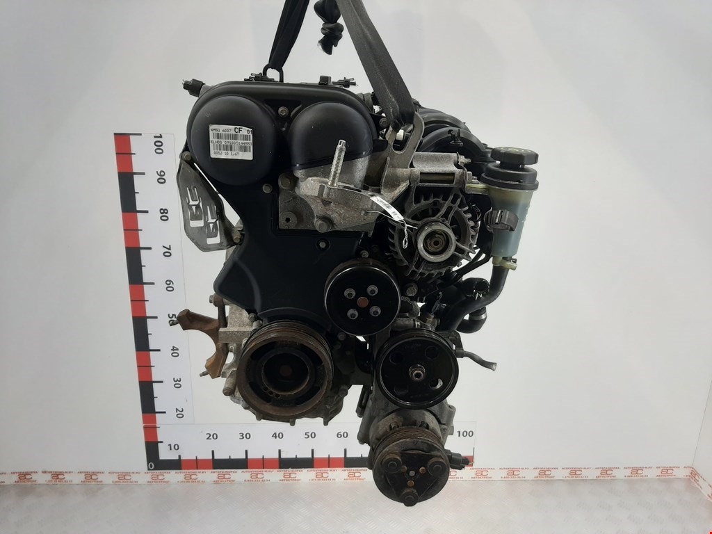 

Двигатель (ДВС) Ford Focus 2, Focus 2