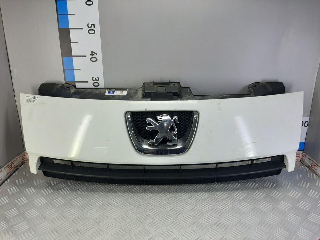 

Решетка радиатора Peugeot Expert (G9), Expert (G9)