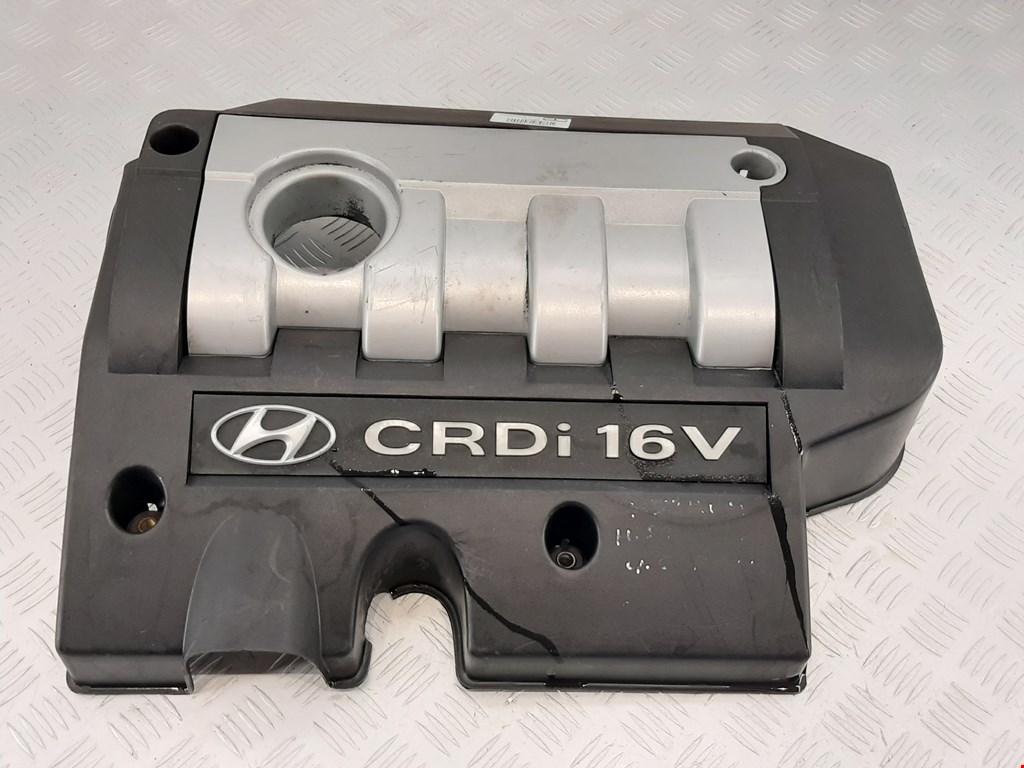 

Накладка декоративная (на ДВС) Hyundai Santa Fe (SM), Santa Fe (SM)