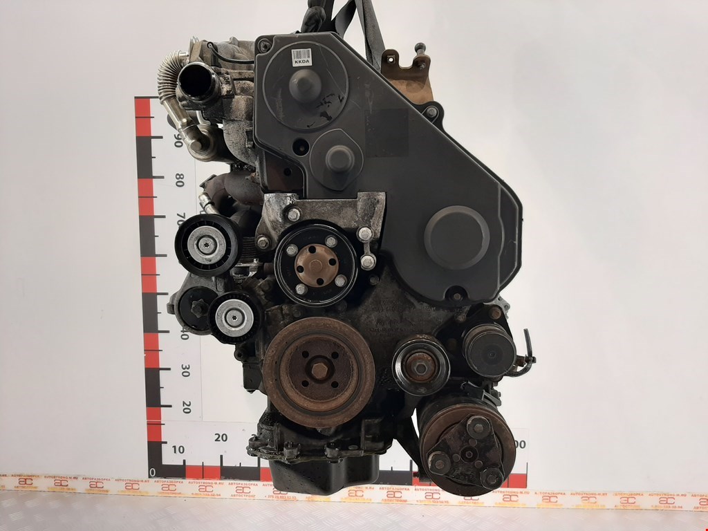 

Двигатель (ДВС) Ford Focus 2, Focus 2