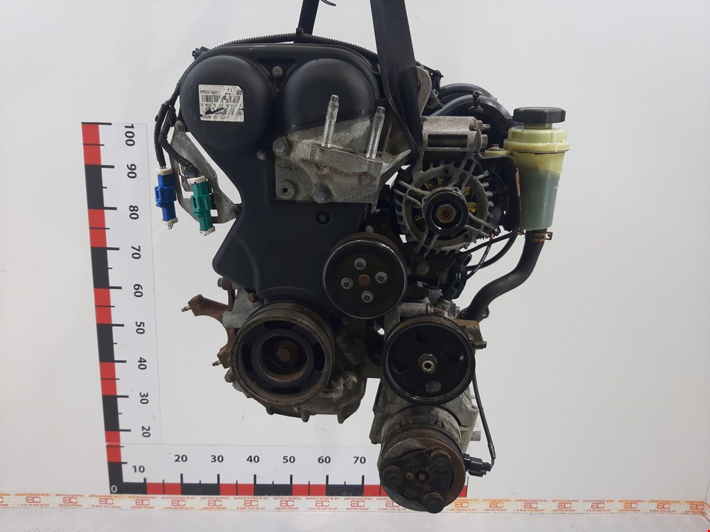 

Двигатель (ДВС) Ford Focus 2, Focus 2