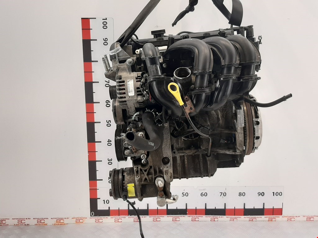 

Двигатель (ДВС) Ford Focus 2, Focus 2