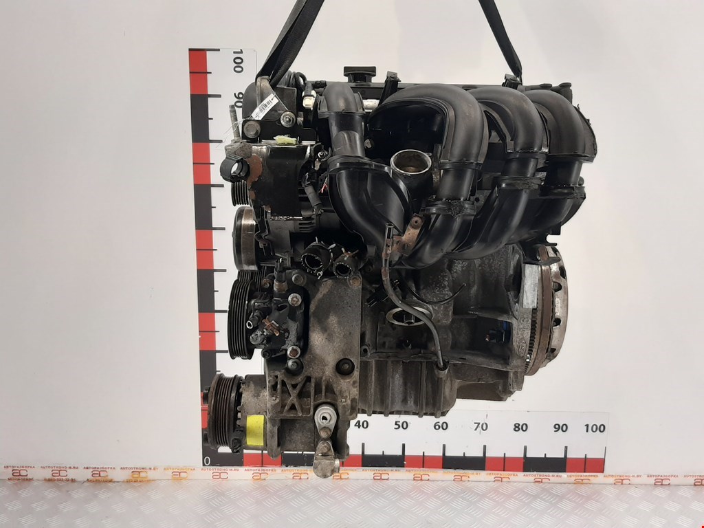 

Двигатель (ДВС) Ford Focus 2, Focus 2