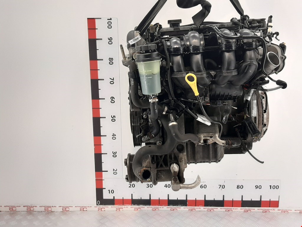 

Двигатель (ДВС) Ford Focus 2, Focus 2