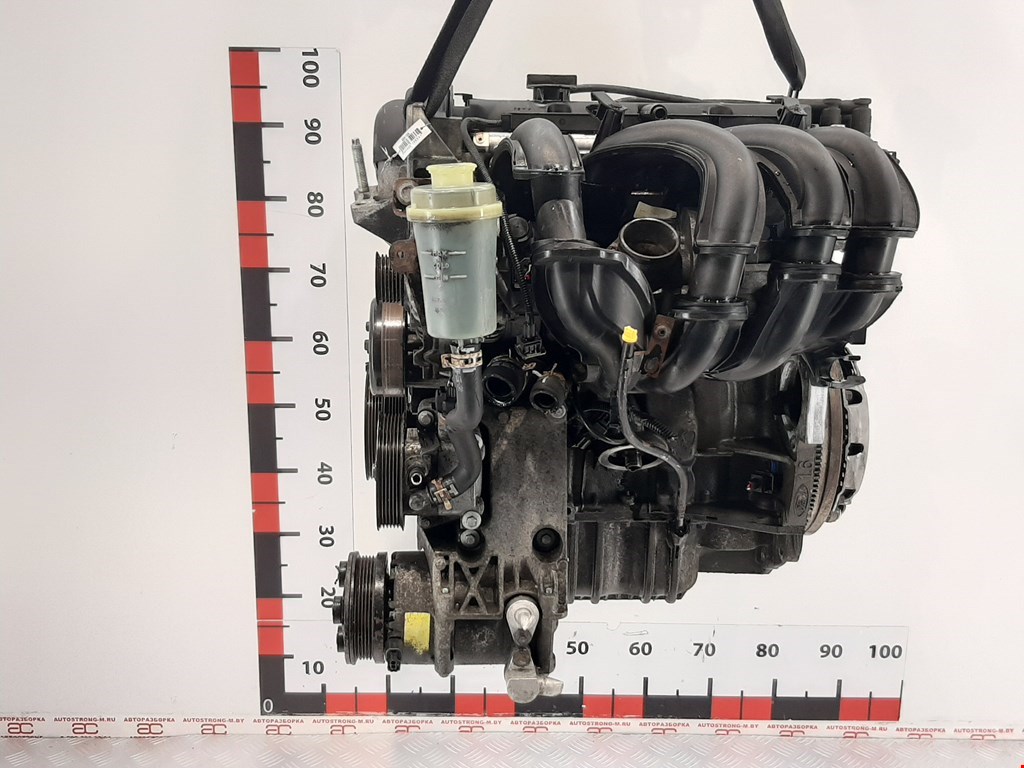 

Двигатель (ДВС) Ford Focus 2, Focus 2