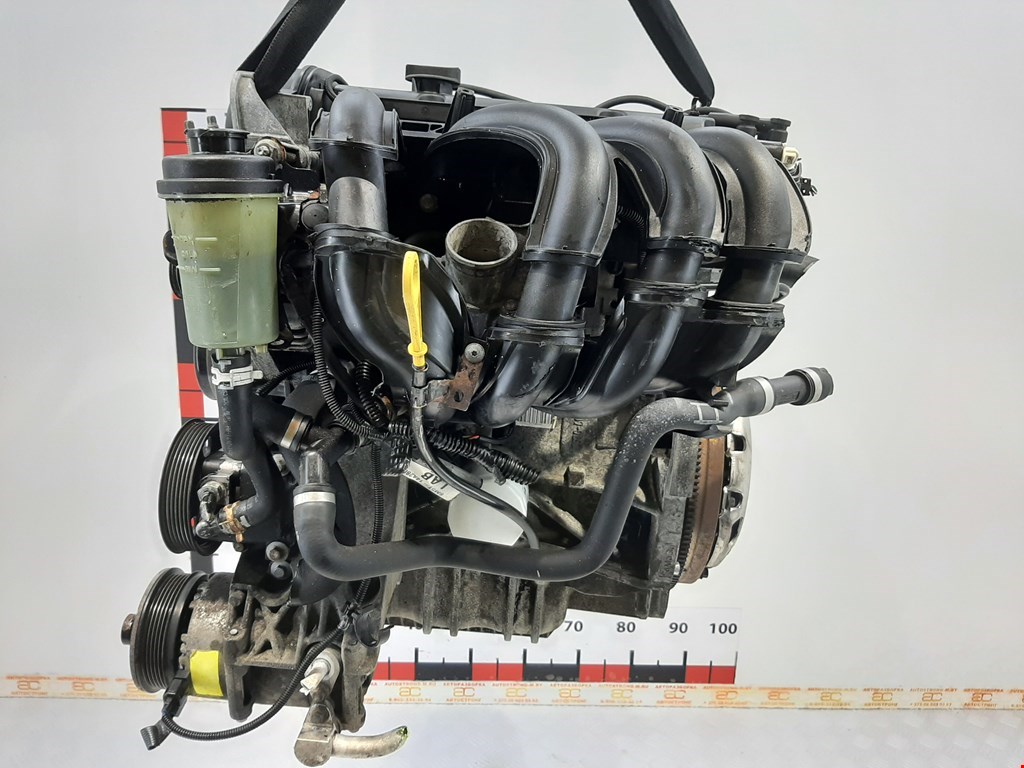 

Двигатель (ДВС) Ford Focus 2, Focus 2