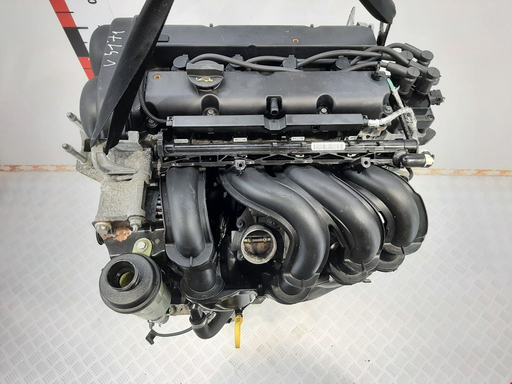 Купить новый двигатель форд. SHDA двигатель 1.6 Форд фокус 2. Focus 2 двигатель SHDA. Двигатель Форд фокус 1.6 бензин. Двигатель.Форд фокус 2 1.6 100 2011.