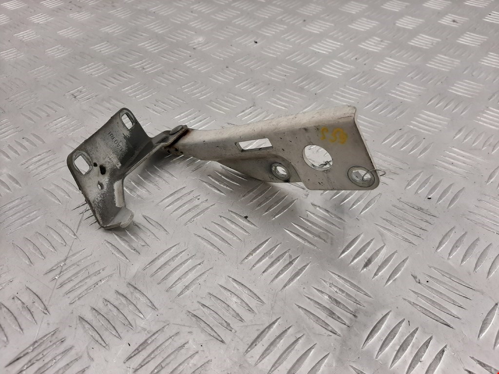 

Петля капота правая Nissan Pathfinder (R51), Pathfinder (R51)