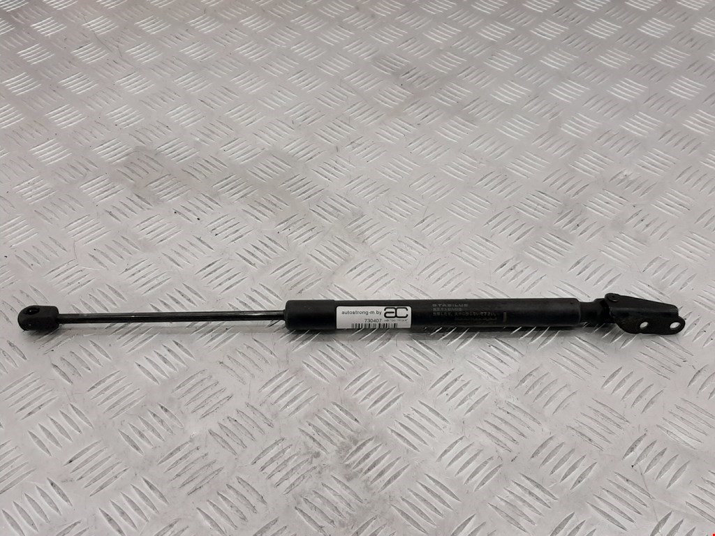 

Амортизатор крышки (двери) багажника Infiniti EX (J50), EX (J50)