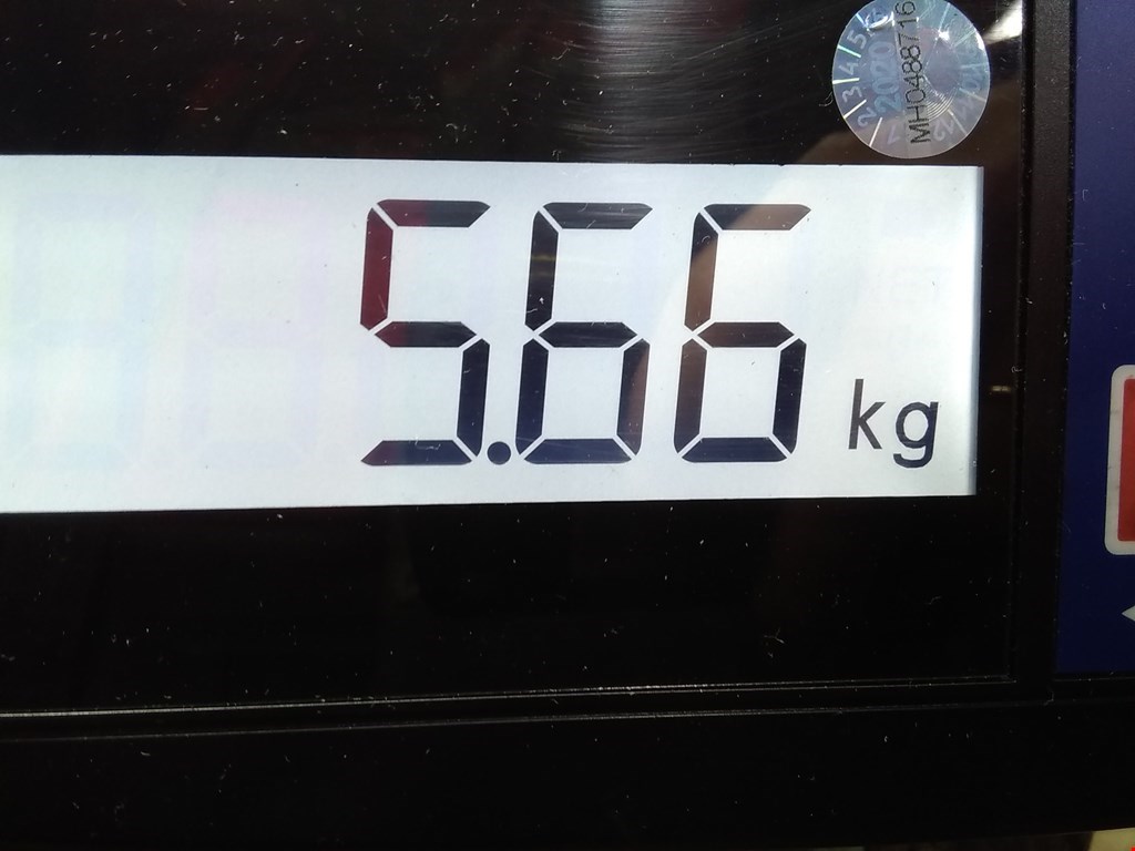 

Генератор Volkswagen Golf 5, Golf 5