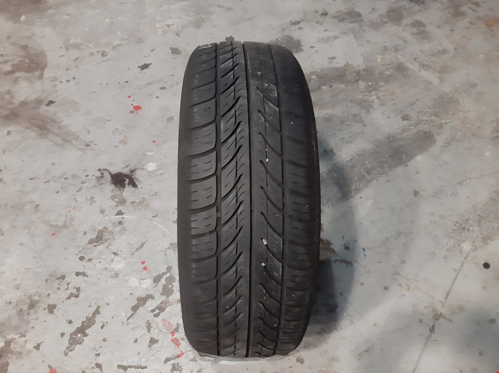 

Шина Renault Scenic 2, Scenic 2