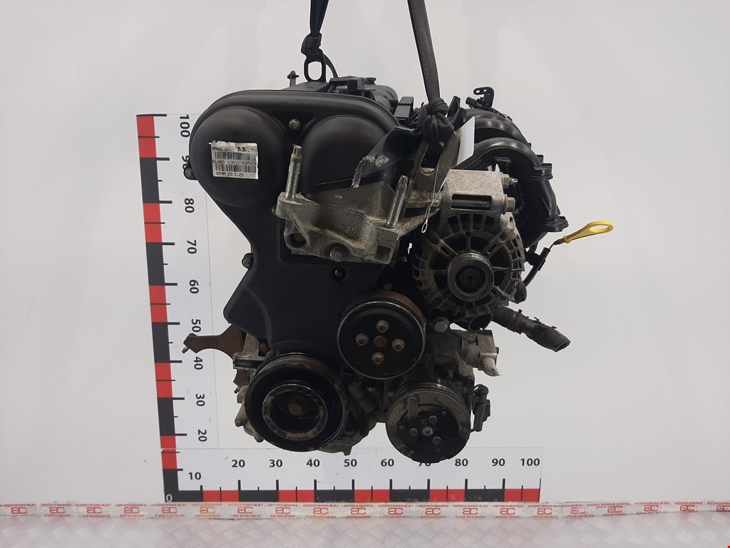 

Двигатель (ДВС) Ford Fiesta 6, Fiesta 6