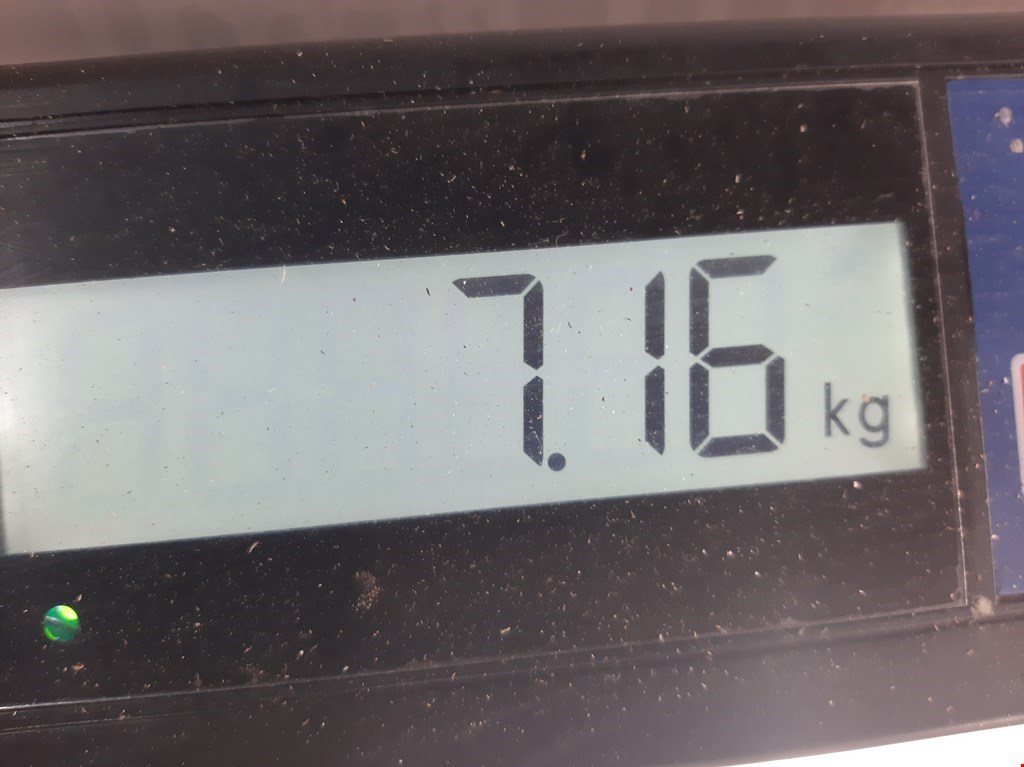 

Шина Citroen Xsara, Xsara