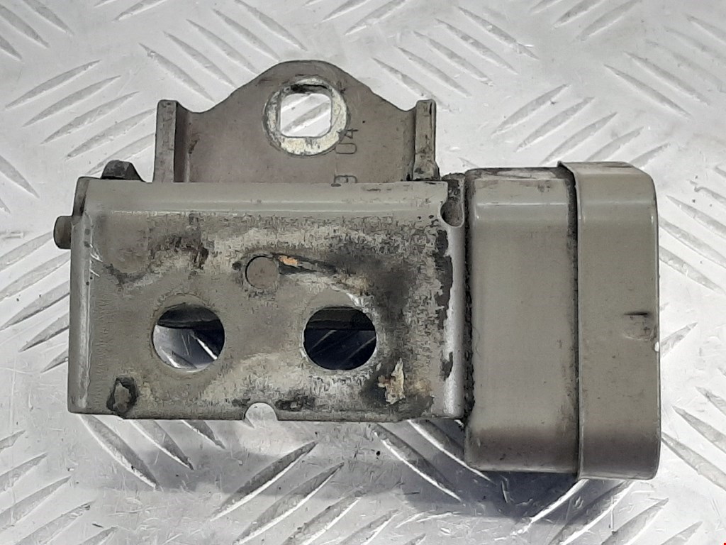 

Петля двери передней левой Renault Scenic 2, Scenic 2